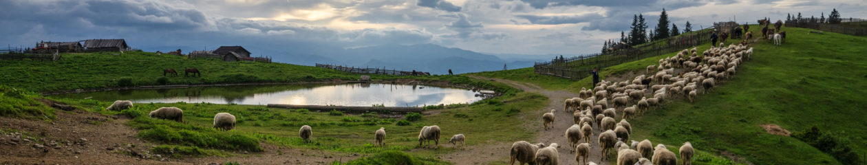 MONTENEGRO BIKING